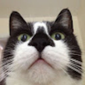 Meet your Posher, Karen